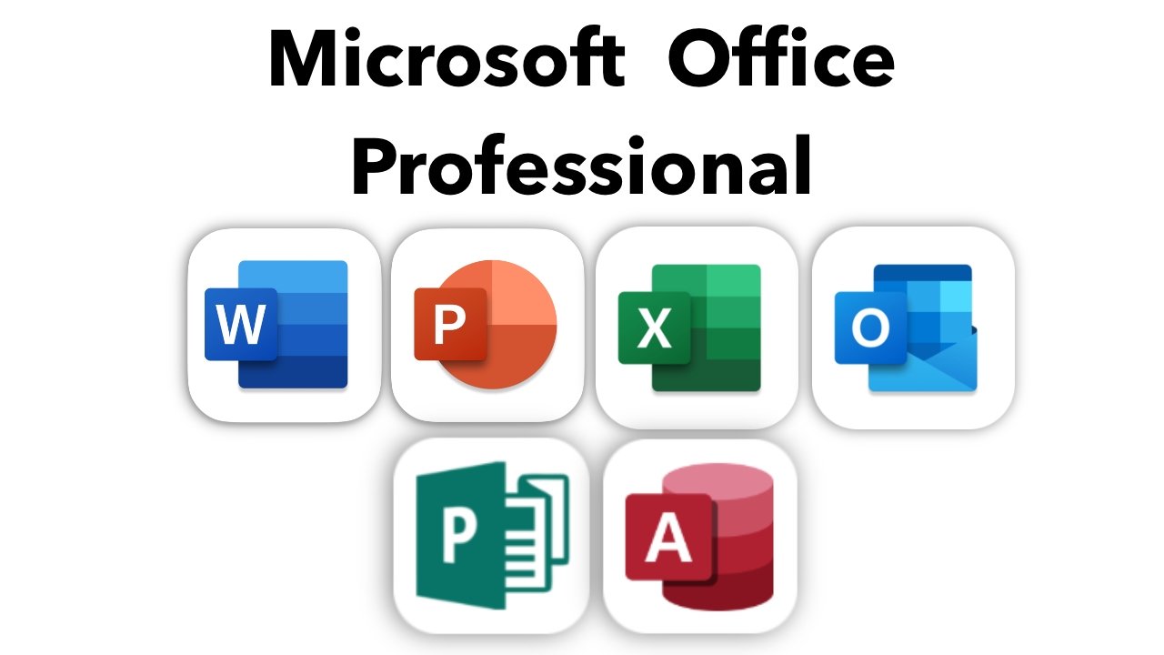 Microsoft Office Professional is an expensive license